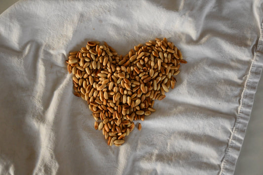 Premium Lebanese Pine Nuts’ Benefits