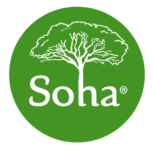 Soha Nuts offering pine nuts from Lebanon.